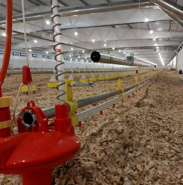 Modern Design Steel Structure Broiler House Chicken Warehouse For Farmhouse