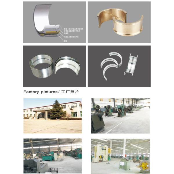 Cooper Engine Main Bearing For Cummins NT855 3801260 214950