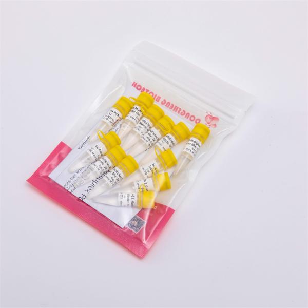 NGS Library Construction Multiplex PCR Master Mix NM1001 NM1002 NM1003