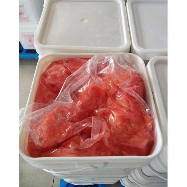Hot Sale  Japanese Style Bulk Pickled Sushi Ginger
