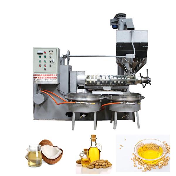 Cold Pressed Mustard Oil Making Machine Screw Type Oil Press Machinery