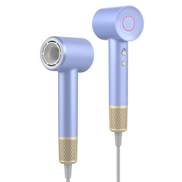 China Factory Direct Sale Smart Lightweight Negative Lon Intelligent Temperature Control Hair Dryer with Diffuser