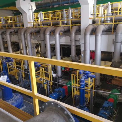 Biens de corrosion d'eaux d'égout de NBR anti de pompe industrielle en caoutchouc de lobe