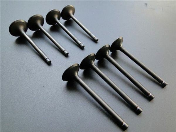 Custom Autoparts N20 Engine Intake Valve And Exhaust Valve OEM 4007004Z-S