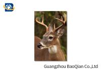 Cartes de voeux lenticulaires animales, cartes de voeux des cerfs communs 3D pendant Noël/nouvelle année