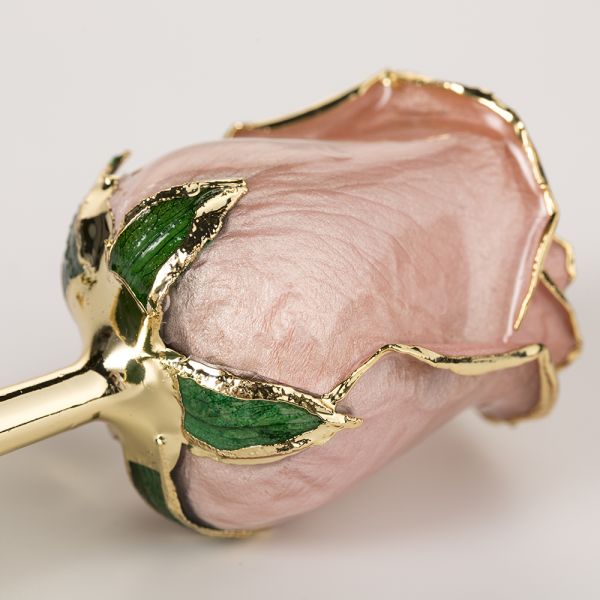 24k Gold Plated Rose Fresh Rose with Stem Present  Rose Gift Valentine Mother Day Eternal Rose Preserved Flower