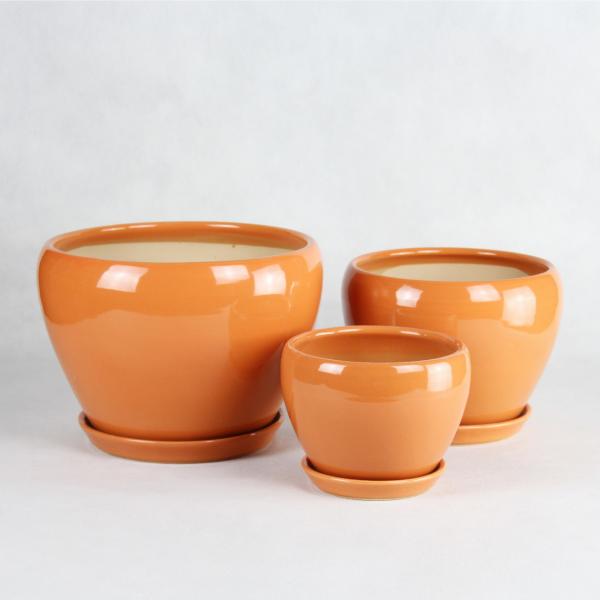 Stunning Plant Display With Our Ceramic Pots Affordable Prices