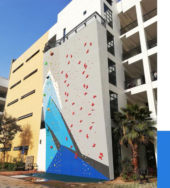 Ecofriendly Outdoor Rock Climbing Wall Panels Artificial For Unisex