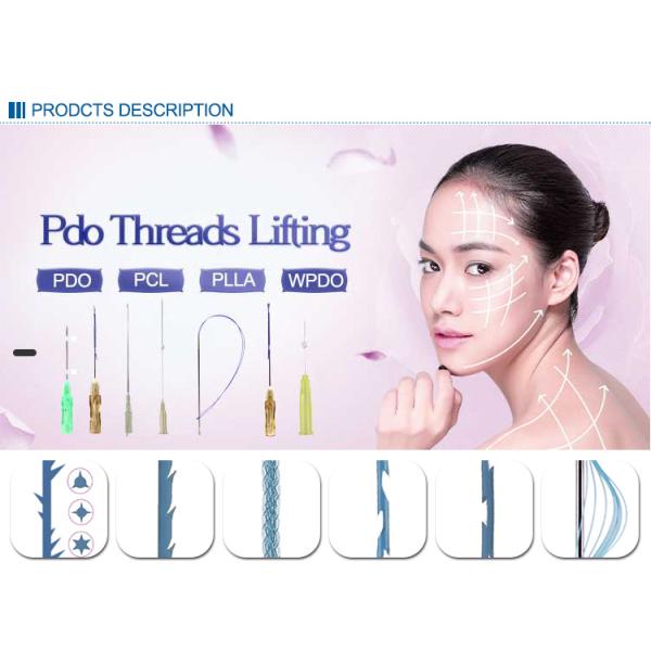 La elevación médica PDO PCL PLLA de la ceja rosca por último 18 meses