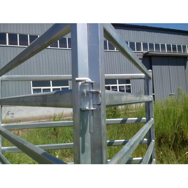 60 X 30 X 1.6mm Gal Oval Rail Heavy Cattle Panels Hot Dip Galvanized Steel To Sheep Yards