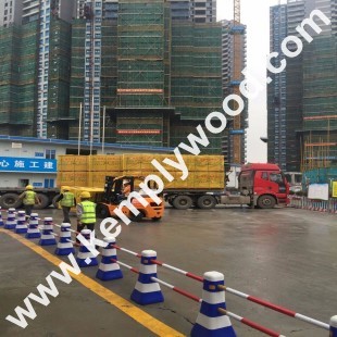 Combi core marine film faced plywood for timber formwork , poplar core, hardwood core, birch core film faced plywood