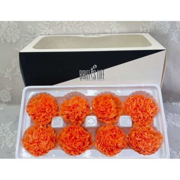 Eternal Carnation Flower Heads, 8 Pieces DIY Materials Wholesale, Premium Gift for Mother's Day, Rose Dried Flower Bouquet