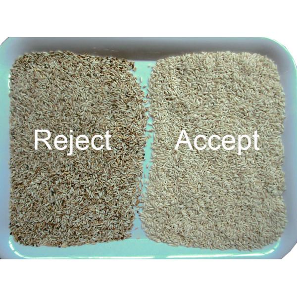O arroz da grão semeia a máquina de vidro do classificador da cor do plástico do chá