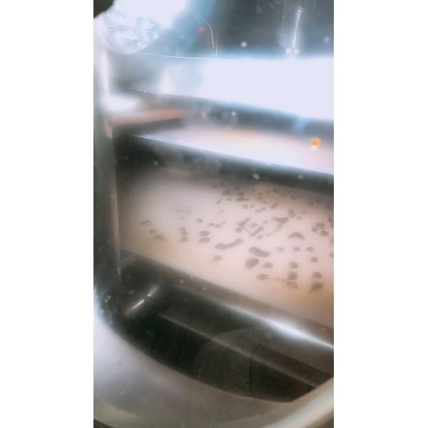 Высокий сушильщик пояса вакуума стойкости для сушить масло пеньки, 2 лет гарантии