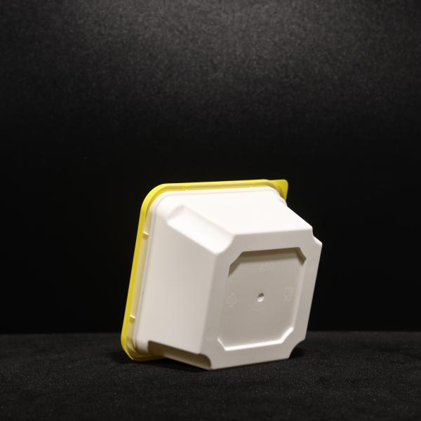 450 ml de proteção contra fugas de PP sanduíche cachorro quente salada caixa de almoço cor personalizada
