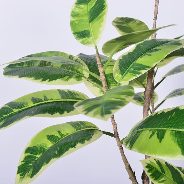 Latest New Arrival Artificial Indoor Plants Potted Plants Green White Faux Rubber Tree for Decoration Office Small Plastic