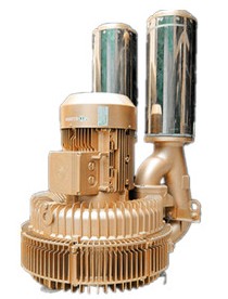 Anti Corrosinon Electric Goorui Side Channel Blower Pump Anti Explosion