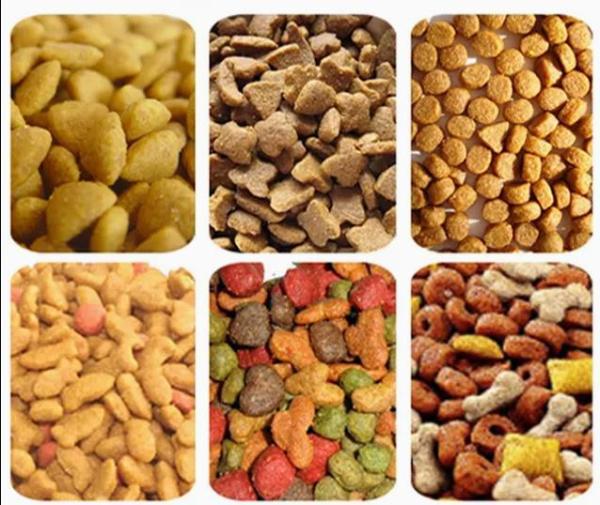 DGP 65 Machine automatique d'extrusion d'aliments pour chiens en acier inoxydable / Ligne de production d'aliments secs pour animaux de compagnie