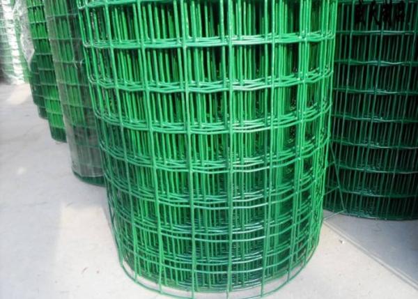 Low Carbon Powder Coated Steel Wire Fencing 2-6.0mm Dia With Euro Style