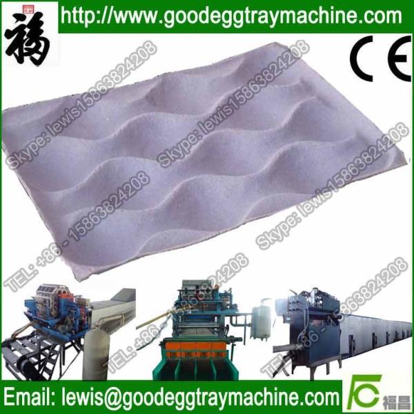 Vegetable tray plup moulding machine