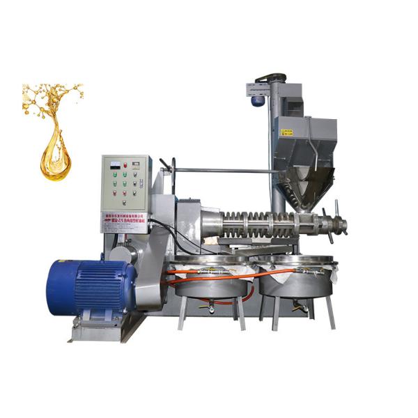 400 - 750kg/H High Oil Yield Screw Oil Press Machine Alloy Materials