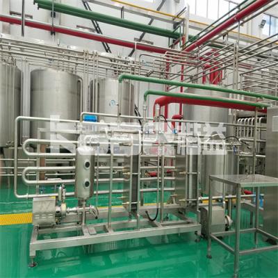 Automatic Berry Juicer Machine Citrus Berries  Processing Washer Vegetable Washing Machine