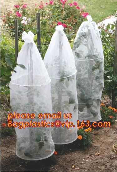 Transparent Low Tunnel Film Perforated For Culture Of Seedling Maturing Vegetables perforated red plastic mulch