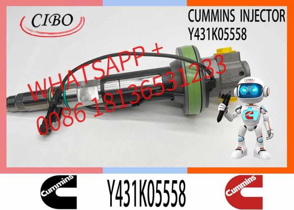 Factory Outlet OEM Quality Brand New Diesel Fuel Injector Y431K05558 Y431K05417 4964170 4964171 2867149 for QSK19 Diesel Engine
