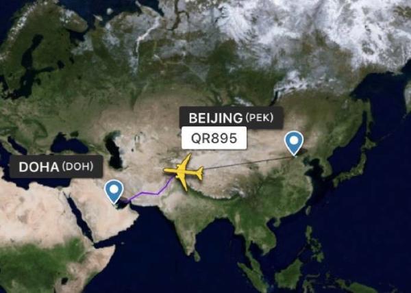 Professional Air Freight Shipping Services 1-2 Days Global Freight Forwarder