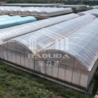 Stocked 24x40m High Tunnel Sawtooth Green House Ventilation Hothouse Tropical Greenhouse For Sale