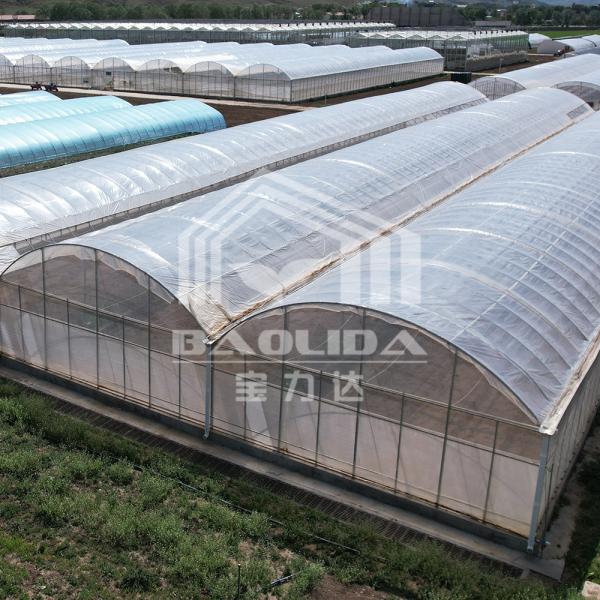 24x40m de estoque Túnel alto Serra de Dentes de Serra Casa Verde Ventilação Estufas Estufas Tropicais Para Venda