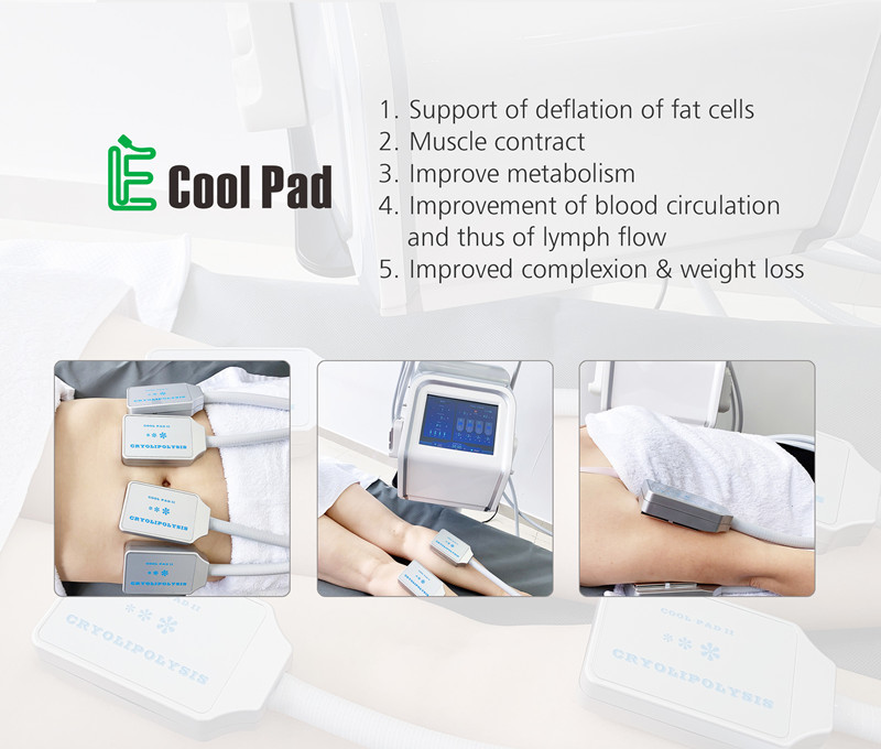 Салон красоты Euqipment машины CRYO Cryolipolysis EMS для потери Weilght с 4 ручками