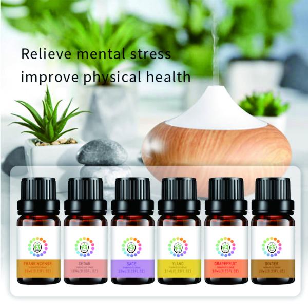 Natural Diffuser Aromatherapy Massage Oil Aroma Essential Oils Gift Set With 14 Fragrance