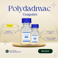 Poudre PolyDADMAC PDADMAC PDMDAAC Coagulation et floculation Réduction de la turbidité Réduction du volume des boues