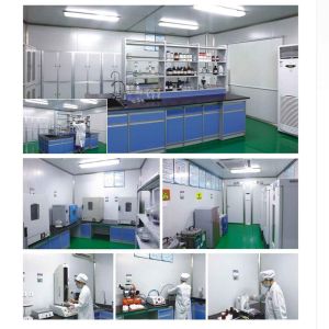 Wuhan Nuoqi Technology Co., Ltd.