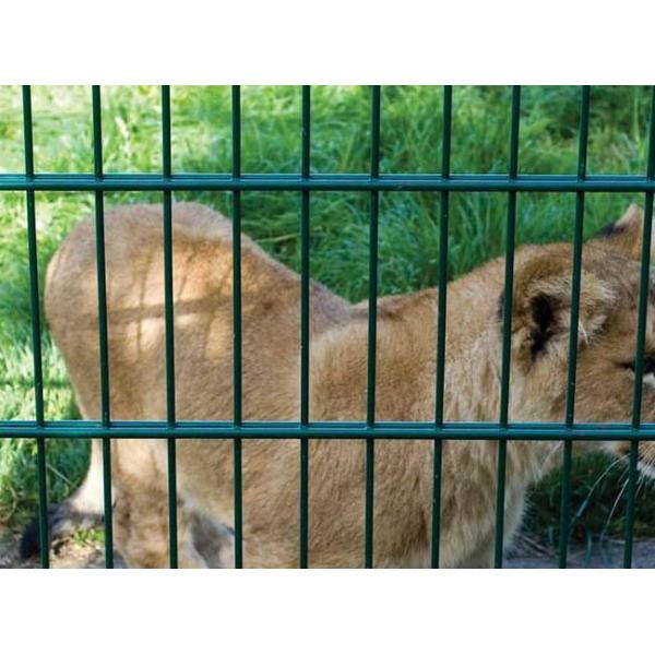 2500 мм панель двойной проволочной сетки ограждения 50 × 200 мм зеленый оцинкованный покрытый
