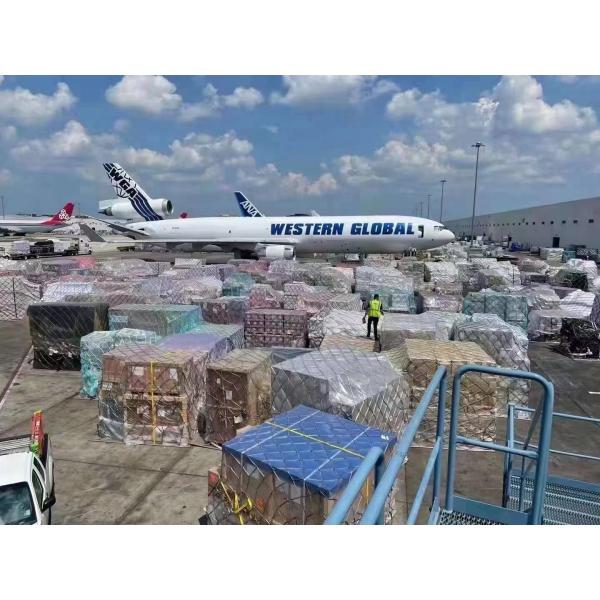 Онлайн система Китай Yiwu поставщиков обслуживаний снабжения Ecommerce к Ирландии Японии