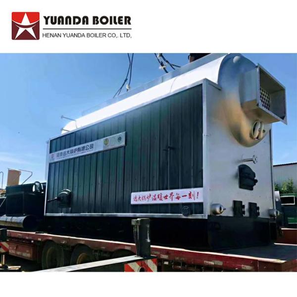 DZL Industrial Chain Grate 6 Ton Coal Fired Boiler For Beer Beverage Factory