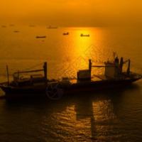 O frete da exportação da importação que envia o processo China exporta para o transporte global