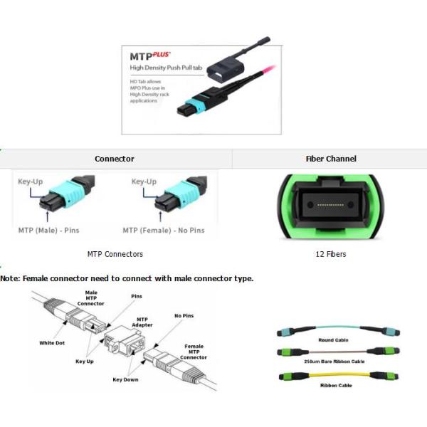 12 Fibras MTP Fêmea Para MTP Fêmea OM4 3,0 mm LSZH MTP Patch Cord Medidores Personalizados