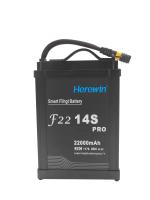 Herewin 14S1P 22000mAh 30C pulverizador de descarga UAV bateria 53.2V