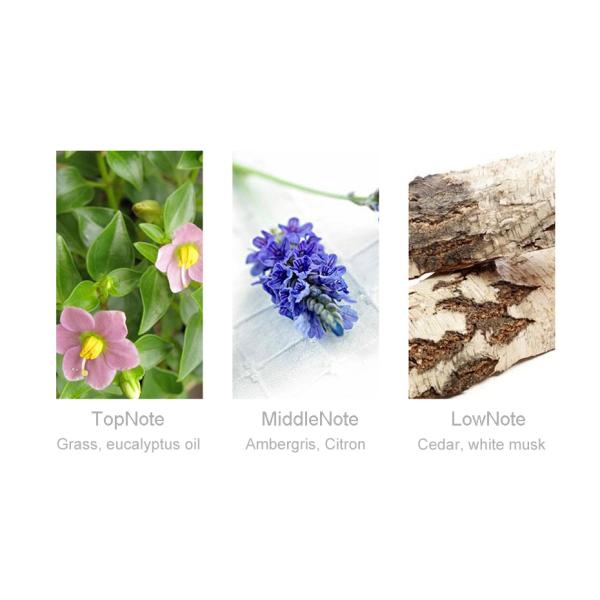 Female Lavender Fragrance Perfume , Fresh Elegant Long Lasting Lavender Perfume