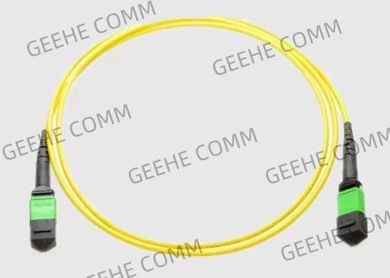 Femelle d'OM2 3.0MM au câble femelle de fibre de MTP MPO