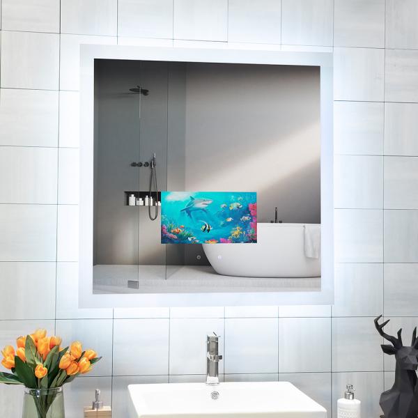Améliorez votre salon de beauté avec un miroir de télévision intelligente et un débrouilleur monté sur un mur rectangulaire