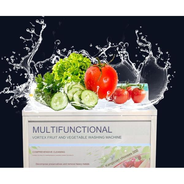 100kg/h Capacity Eddy Current Ozone Disinfection Vegetable Washing Machine for Hotels