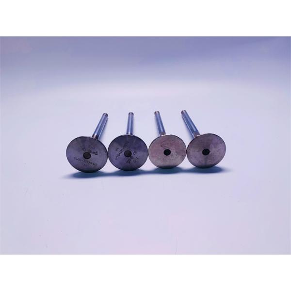 65.04101-0050 Engine Intake And Exhaust Valves , DOOSAN DE12 Engine Piston Valve