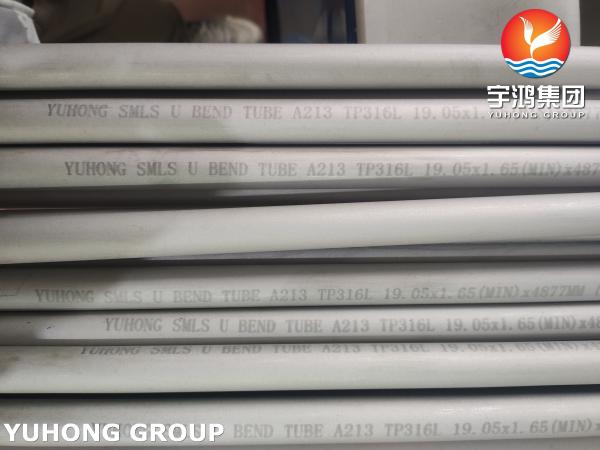 Stainless Steel ASTM A213 TP316L U Bend Tube For Heat Exchanger