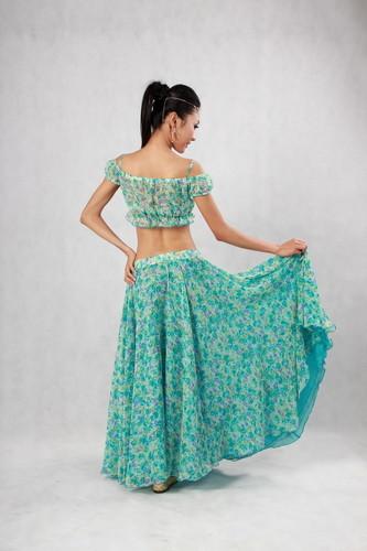 Elegant Belly Dancer Costume Blue Green Floor Length Maxi Skirt Plain Neckline Bras