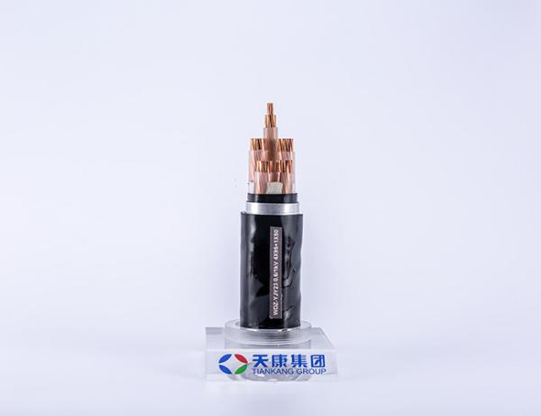 Underwater Waterproof Electrical Cable WDZ-YJY23 0.6kv
