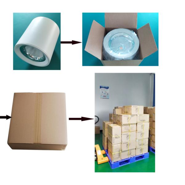 Tunable White Smart Surface Mounted Downlight DC12V DC24V 2700K-6500K CCT Adjustable